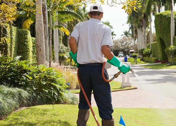 About Estelline TX Pest Control